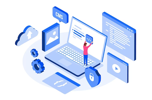 WordPress development issues, wordpress errors